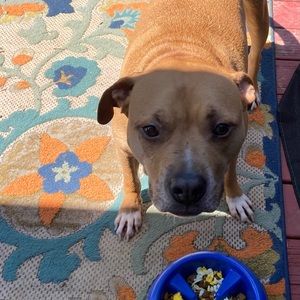 Meet your Posher, Lorie